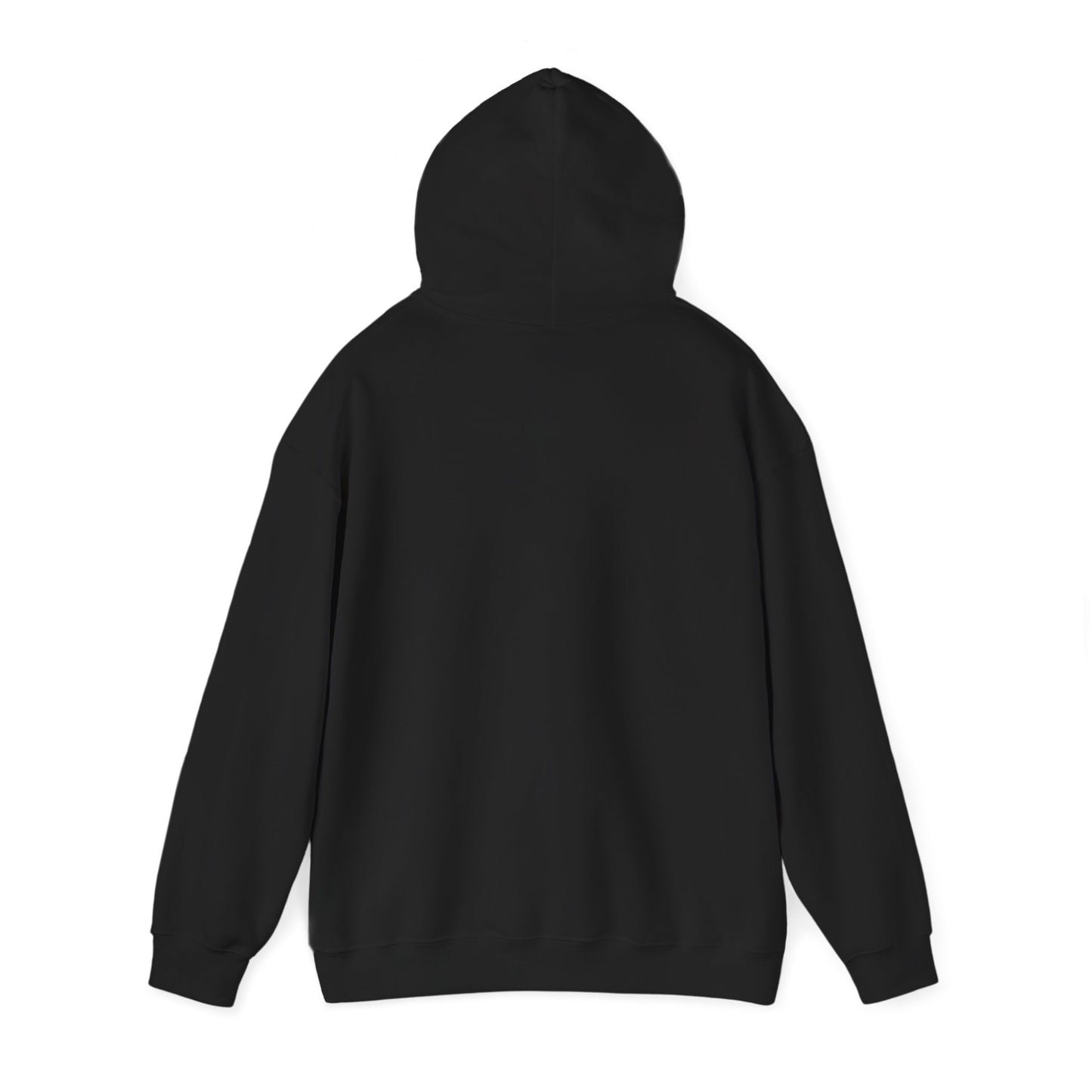 Unisex Hooded Sweatshirt - Funny Love of my Visa - Color of Choice