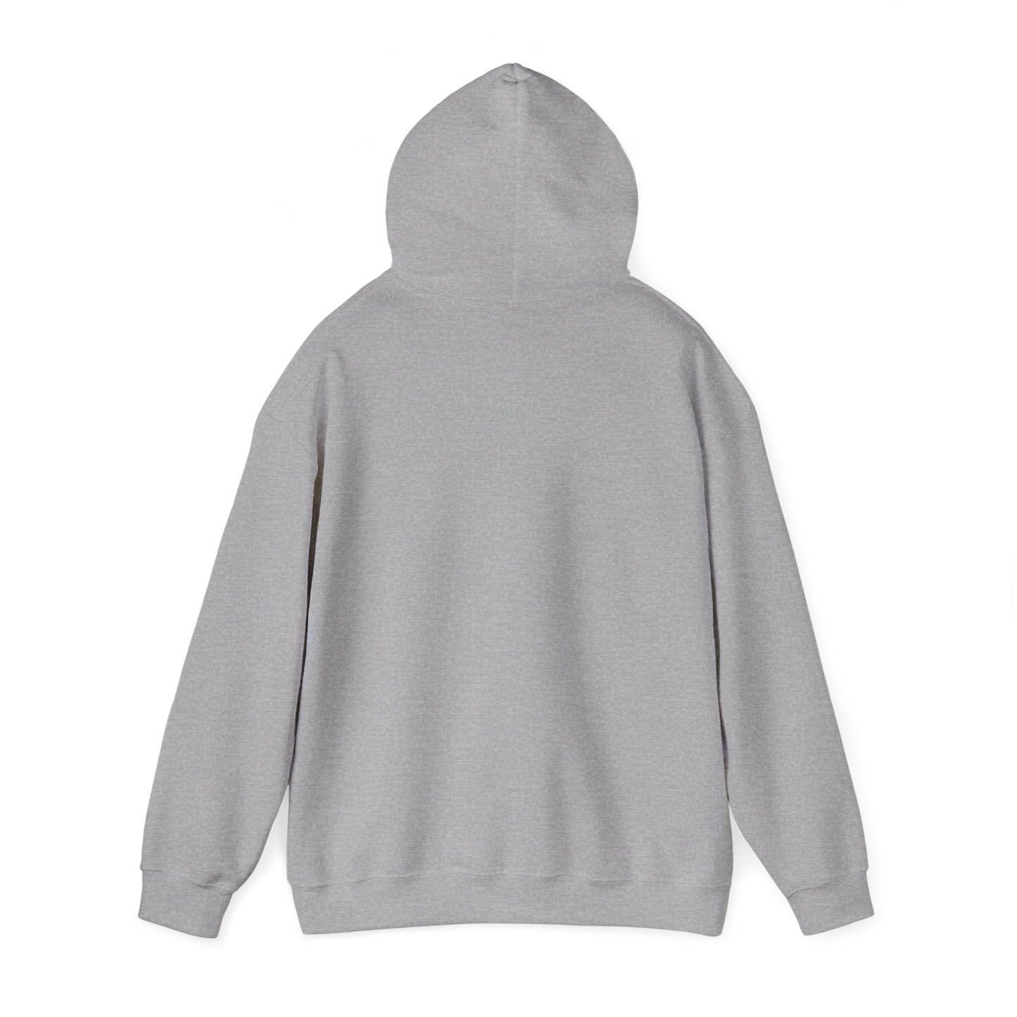 Unisex Hooded Sweatshirt - Funny Love of my Visa - Color of Choice