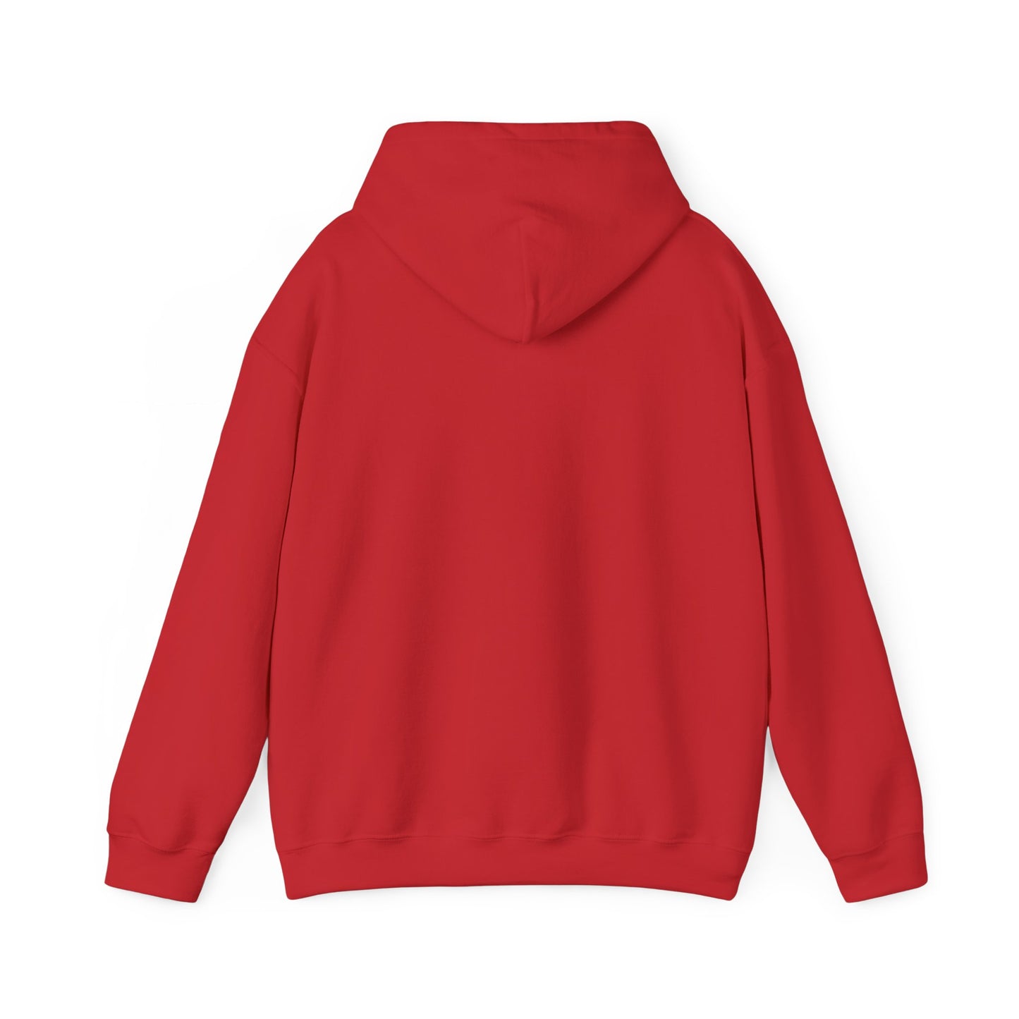 Unisex Hooded Sweatshirt - Best 10 Seconds of Your Life - Color of Choice