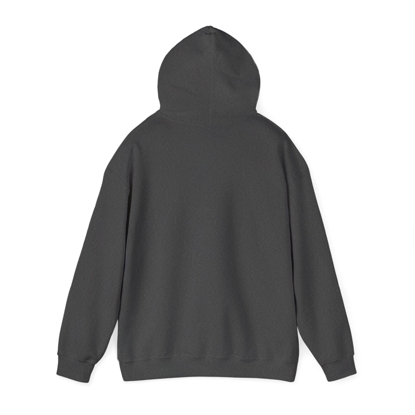 Unisex Hooded Sweatshirt - Funny Love of my Visa - Color of Choice