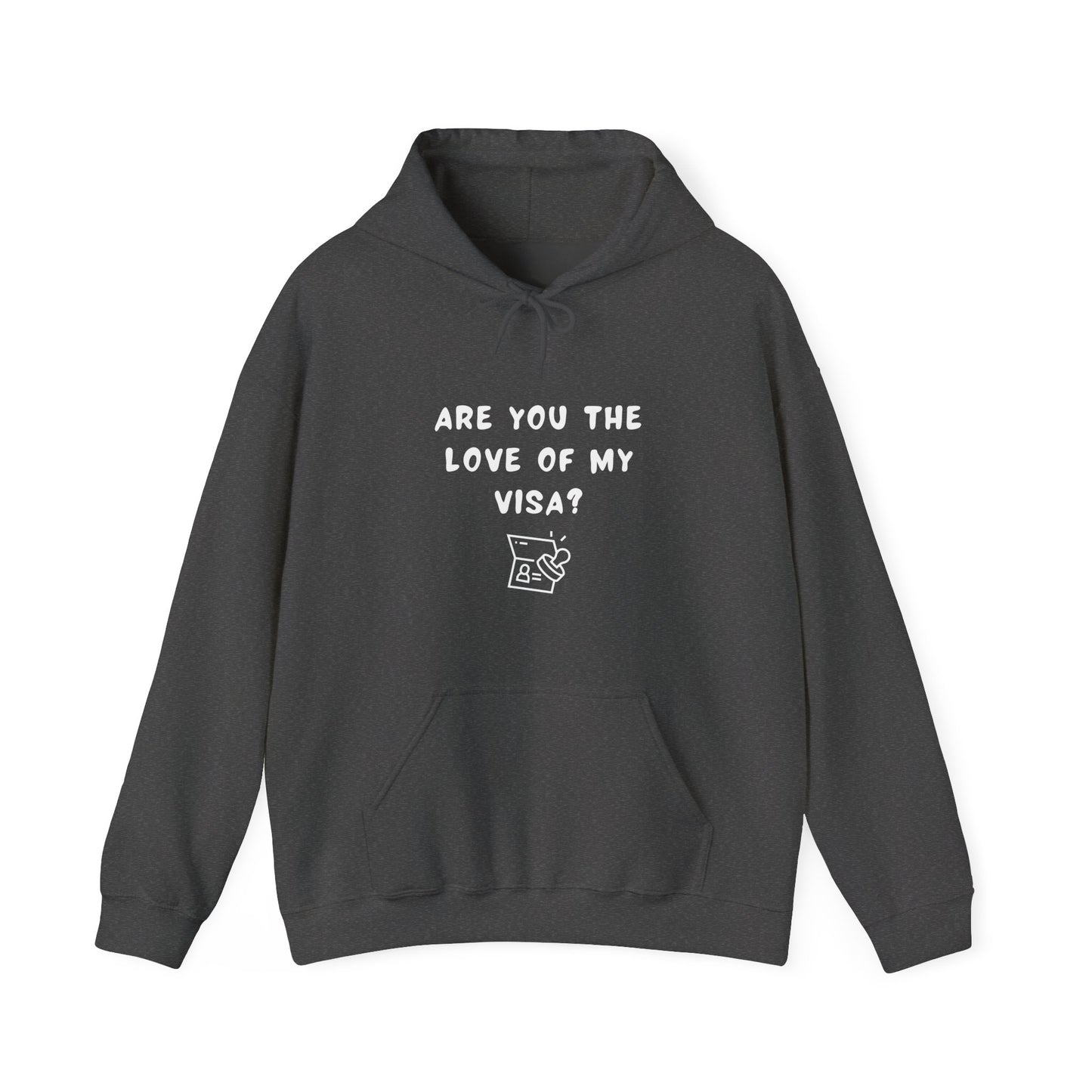 Unisex Hooded Sweatshirt - Funny Love of my Visa - Color of Choice